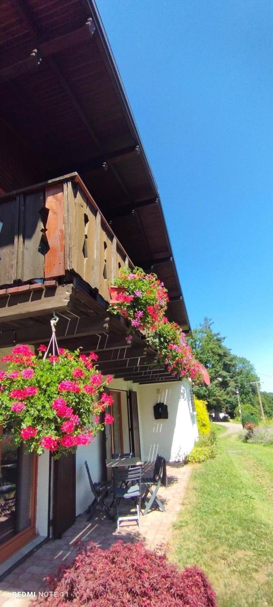 Chalet Au Bois Des Ecureuils Classe Trois Etoiles. Muhlbach-sur-Munster Ngoại thất bức ảnh